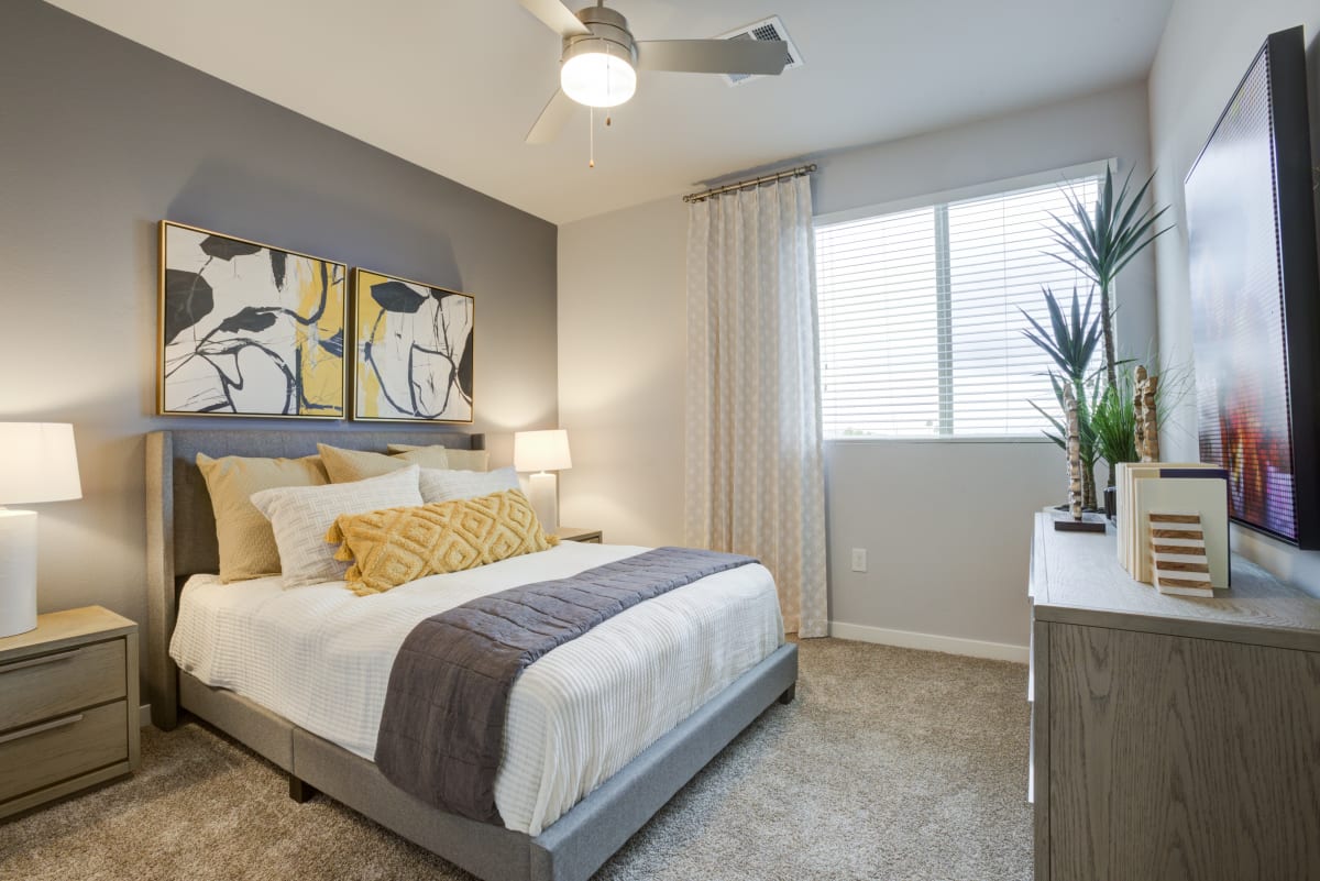 Scottsdale AZ Apartments Lucent Scottsdale Photo Gallery